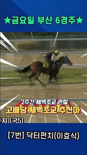 Friday, May 1st, Busan Race 6!! Kang Baek-ho, who trained for 2 weeks, early morning training, So...
