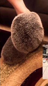 Weirdest STEVEN MADDEN footwear #youtubeshorts #hedgehog #google #sounds #stevemadden