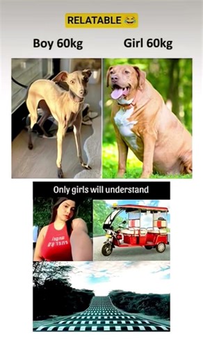“Same weight, different distribution 😂.” #viral​ #comedy​ #funny​ #relatablememes​ #memes​ #usa​