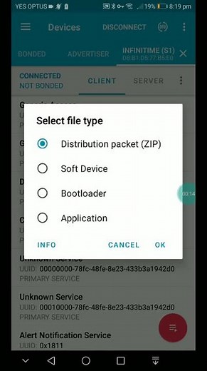 InfiniTime DFU Update with NRFConnect