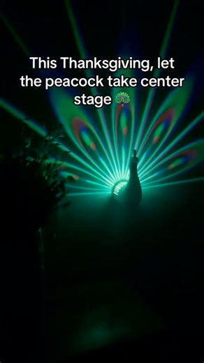 2.8K views · 274 reactions |  Gorgeous 3D projection  Multiple color modes  Easy setup—just plug & play  Perfect for bedrooms, parties, and gifts! 3D Night Peacock Projection Light：https://cutt.ly/5rJTiN0R More cute night light: https://cutt.ly/OeBKEyOE | Gadgets | Facebook