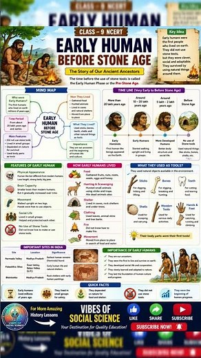 What was human life like before the Stone Age? #education #fieldschool