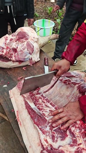 Pig Butchery Process 🐷 Fast & Clean Knife Work. ep166 #Cooking #shorts ‪@FoodisFoodie‬