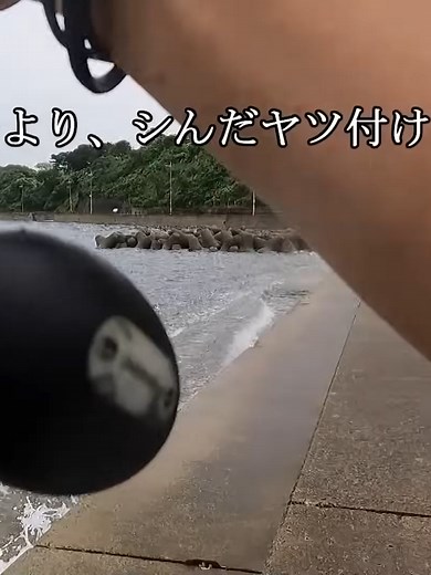 簡単な死にアジ仕掛けでアオリイカを釣る方法