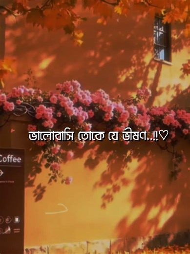 Full Song Lyrics Feel This Song #its_me_fahim_12 #lyrics_songs #foryou #viralvideo #1millionaudition @TikTok @For You