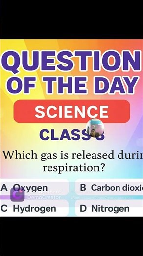 Which Gas is Released During Respiration? | Class 8 Science | Question of the Day |DRIVE WITH CANDLE