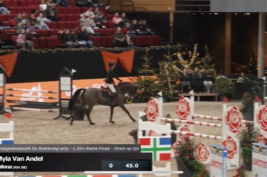 mylavanandel | Very happy with how Oliona (kitt) jumped this week and thankfull for a horse like this🤩🔥 @iich_groningen | Instagram