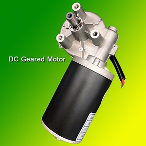 [Hot Item] 12V High Torque DC Permanent Magnet Gear Motor 100 Rpm Metal Geared Motor