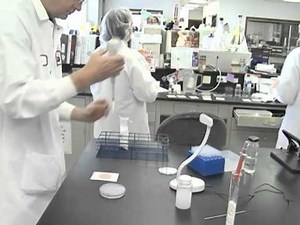 Cheese Quality Assurance