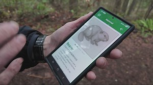 New app guides visitors through Hopkins Demonstration Forest in Oregon