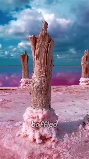 The Mysterious Pink Lake in Australia 🌸😱 #Shorts #Nature