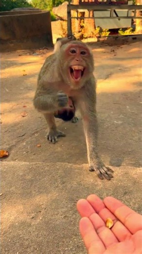 Mothers eat foods to increase their breastfeeding power.