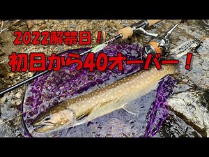 ２０２２ 渓流つり解禁日その１