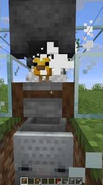 This is the easiest AUTOMATIC chicken farm in Minecraft! 🔥🐔