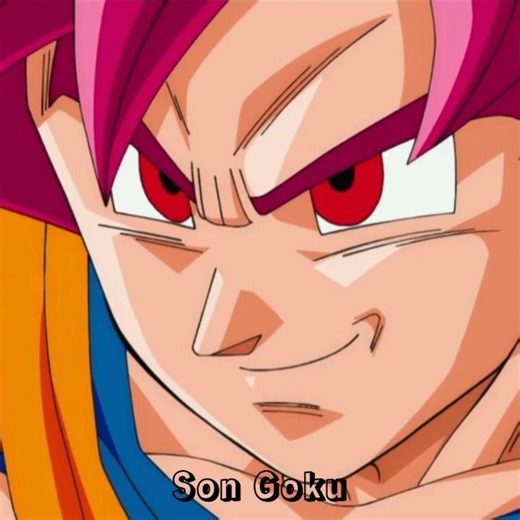 Goku vs Beerus