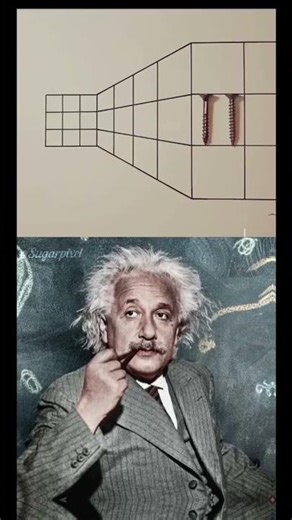 "The Optical Illusion: Exploring Perspective with Albert Einstein."