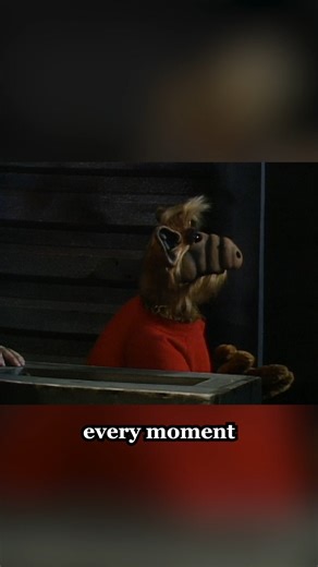 Can a wish bring back a whole planet? #ALF #sitcom #planet #melmac #shootingstar | Alf