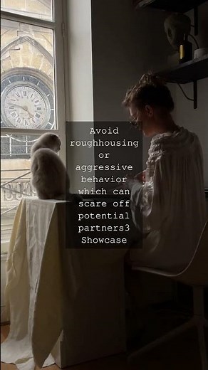 The Tomcats Guide to Love Mating at the Right AgeAs a majestic male feline youve...