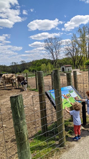 9.5K views · 161 reactions | Come spend your morning on the FARM ...