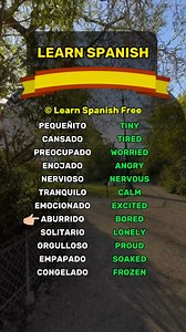 4.6K views · 113 reactions | Learn Spanish Free Beginner in Spanish? Subscribe to level up fast! . . . . #spanish #español #spain #language #languagelearning #spanishquiz #learnspanish #LearnSpanish #easyspanish #spanishlesson #spanishlessons #spanishlessonsonline #spanishlanguage #SpanishTeacher #spanishforbeginners #spanishtiktok #spanishvocabulary #spanishgrammar #spanishonline | Learn Spanish | Facebook