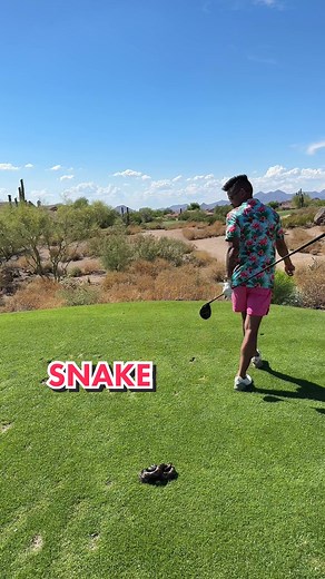 Hilarious Snake Prank Golf Compilation