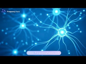Protect Nerve Health, Communication & Regeneration | Healing for Sciatica, Neuropathy & Pain