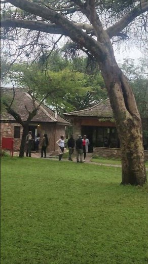 Keekorok Safari Lodge: The Heart of Masai Mara ( 4 Days Masai Mara Great Migration Safari)