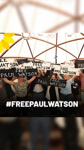 Libérez Paul Watson ! Son arrestation est injuste et injustifiée. Signez notre pétition 👉lien en bio. #LibérezPaulWatson #freepaulwatson | Europe Écologie-Les Verts
