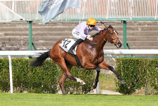 Résultat et rapports Quinté  Pmu Prix Teddy à Saint Cloud le 05/03/2026. PURPLE LION a sorti les  griffes