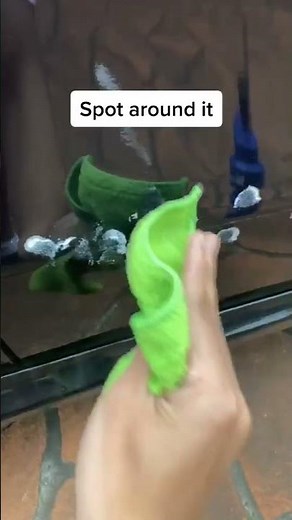 How to Remove Car Scratches Like a Pro