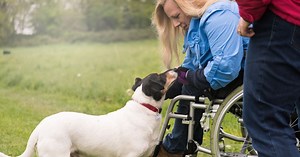 Wheelchair-Friendly Days Out In Ireland As Recommended By Parents | Familyfriendlyhq.ie