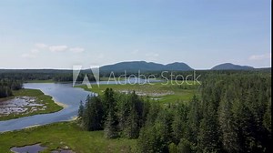 Drone footage of the Bass Harbor Marsh in Acadia National Park on a sunny day in Maine, USA