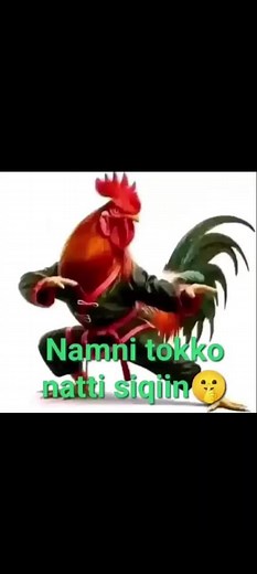 Colorful Rooster Martial Arts and Household Wonders