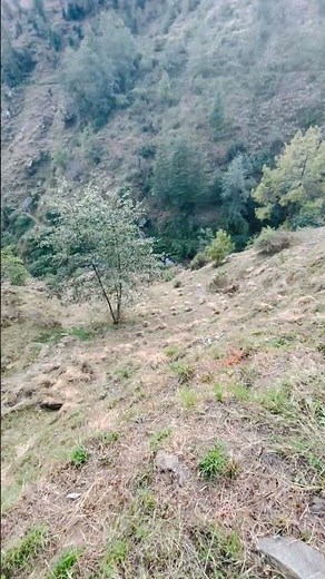 Aesa kbhi sochna bhi ni thik he 👋 😒 #dailyshots #viralshots #pahadi #newreel #like #share