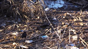 Tempe Town Lake reopens; Salt looks more like a river