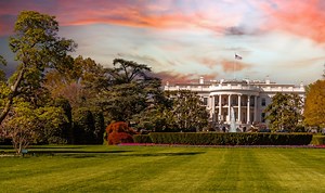 Policy and Thought Leadership | MITRE