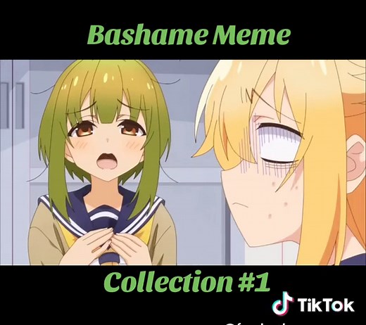 Fan Bashame MeMe trên TikTok