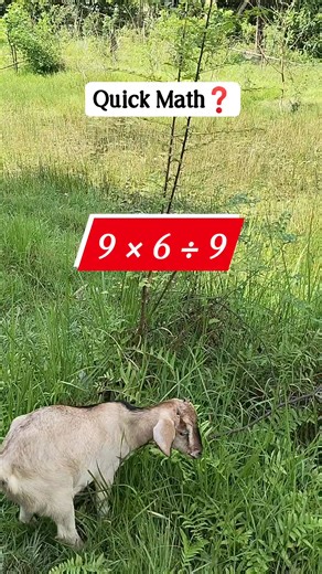 #education #math #puzzle | Math's School