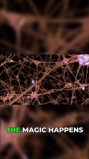 How Your Brain Became Conscious #neuroscience #evolution