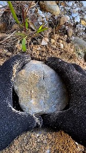 Electric blue crystals on a galaxy matrix. Absolute perfection. ✨ #GemShow #Specimen | Fauzan Gems Hunter