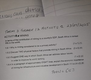 Activity: MiningIn terms of the contribution of mining to a c... | Filo