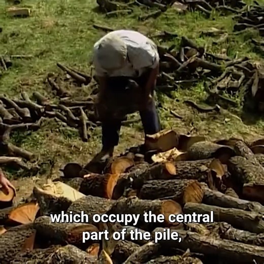 Transforming holm oak wood into CHARCOAL 🪵 | Part 1 | Eugenio Monesma Documentaries