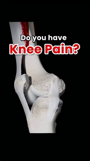 Guide For Knee Pain 📚 If your knees feel tight, weak, or painful, these seven movements are exactly where you start. They activate the quads and patellar tendon so you can move better, train harder, and stop avoiding lower body work. If you are already in pain, get evaluated first. Fix the pattern before you try to load it. Smart training beats ego every time. If this helped, comment and tell me what you want broken down next. And if you are serious about transforming your entire body, this is 