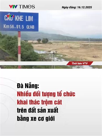 Sau lũ lụt, cả nghìn héc ta đất sản xuất ven sông Thu Bồn - Vu Gia của TP. Đà Nẵng bị bồi lấp, nông dân chưa thể sản xuất rau cho vụ đông. Trong khi hậu quả của thiên tai chưa khắc phục xong thì nhiều đối tượng đã tổ chức khai thác trộm cát trên đất sản xuất bằng xe cơ giới, tình hình này đang ngày càng gia tăng khiến cho bà con bất an. #vtvtimes #vtvonline #news #tiktoknews #tintuc #thoisu #khaithac #tromcat