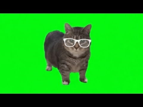 W&W - OIIA OIIA (Spinning Cat) REMIX | RAP DJ BOCIL