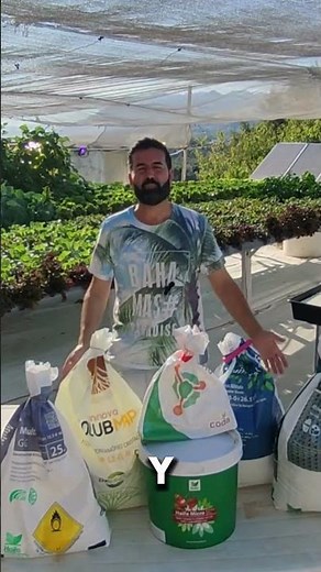 Cultivos Hidropónicos Paso a Paso: Cómo Montar tu Sistema en Casa Fácil y Económico