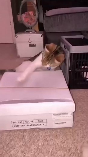 135K views · 2.2K reactions | Seven Nation trombone Remix | TromboneTimo | Facebook