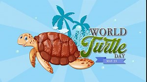 Celebrating World Turtle Day Animation