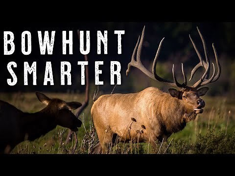 5 Archery Elk Hunting Tips I Wish I Knew Sooner | Change Your Bowhunting Season