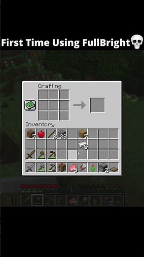 First Time Using Minecraft FullBright 💀